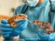 เลี้ยงสัตว์แปลกอย่างไรไม่ให้เสี่ยงป่วย รู้จัก Zoonosis ที่มากับ Exotic Pet เลี้ยงสัตว์แปลกอย่างไรไม่ให้เสี่ยงป่วย รู้จัก Zoonosis ที่มากับ Exotic Pet